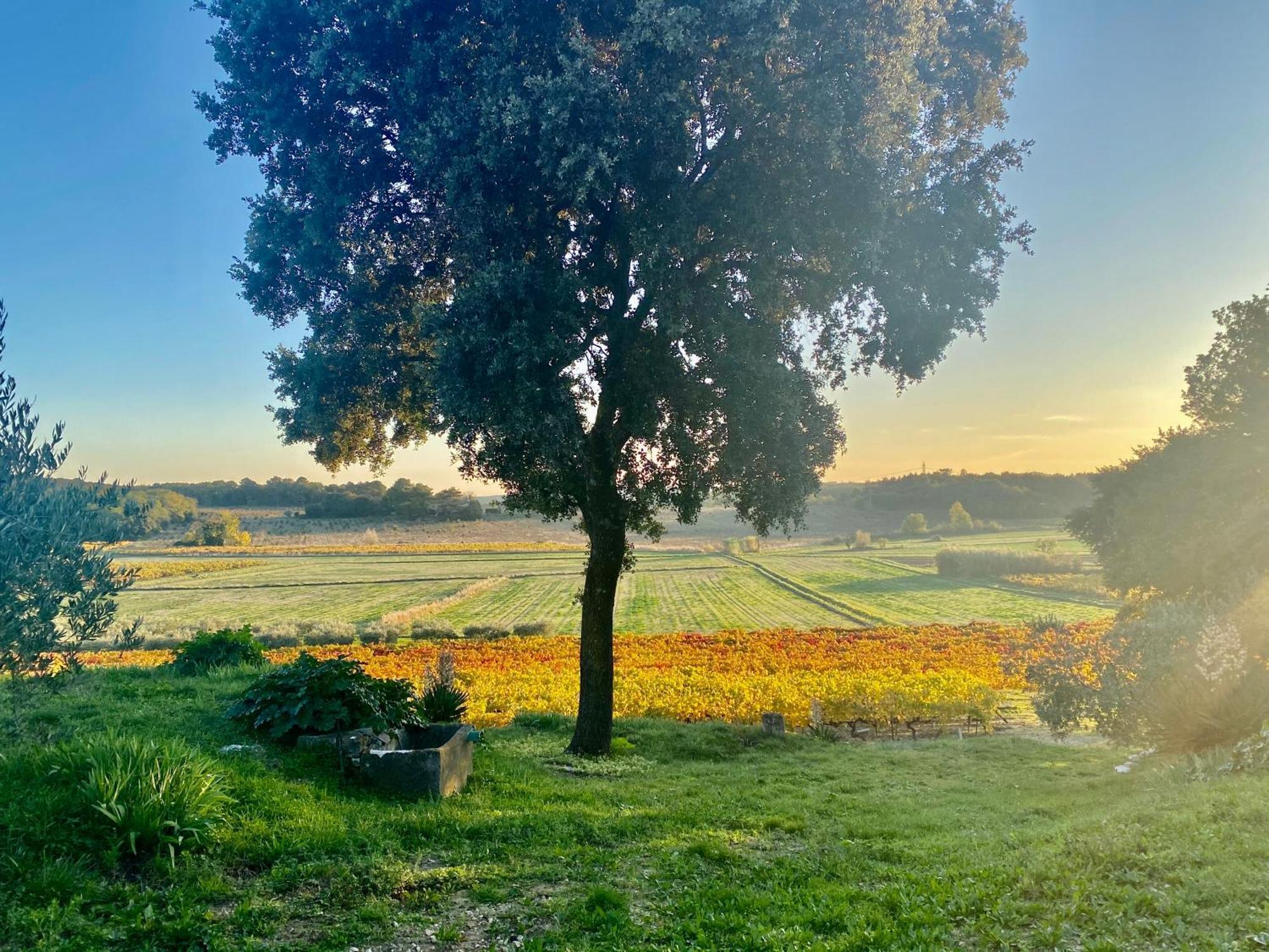 Domaine Du Commandeur Bed and Breakfast Mondragon Eksteriør billede